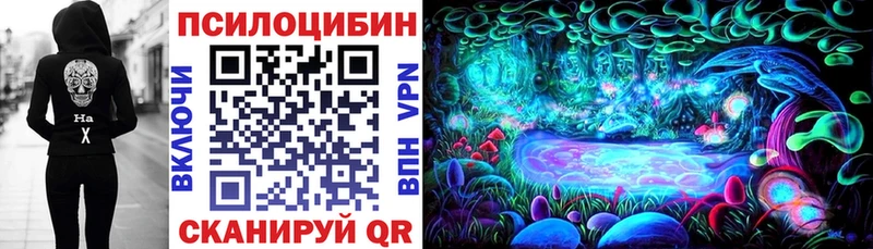 Псилоцибиновые грибы Cubensis  Купить закладки  Новомичуринск 